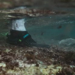 Nouvelles Arrivées -JOBE Magasin 534622001 1 0 1